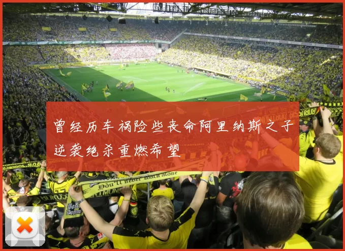 曾经历车祸险些丧命阿里纳斯之子逆袭绝杀重燃希望