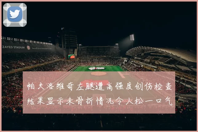 帕夫洛维奇左腿遭高强度创伤检查结果显示未骨折情况令人松一口气